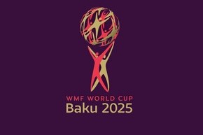 Dünya çempionatı: Bu gün daha 8 oyun keçiriləcək