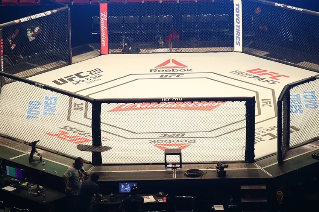 “UFC Fight Night”: ilk qalib məlum oldu