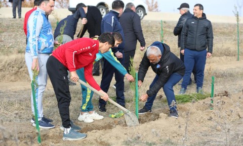 "Turan Tovuz" ağac əkdi