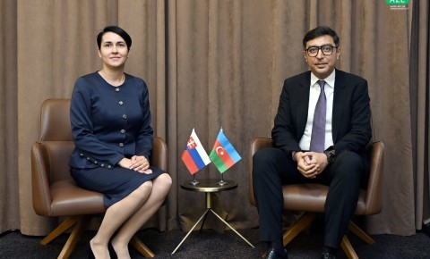 Fərid Qayıbov Slovakiyanın idman məsələləri üzrə dövlət katibi ilə görüşüb