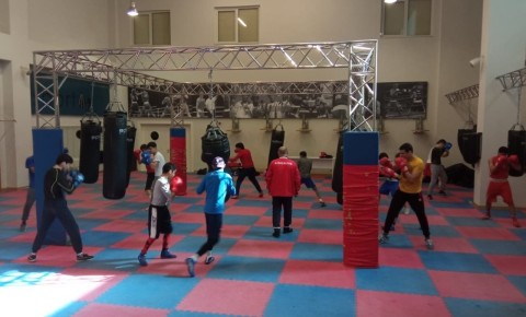 Bakıda boks üzrə beynəlxalq təlim-məşq toplanışı