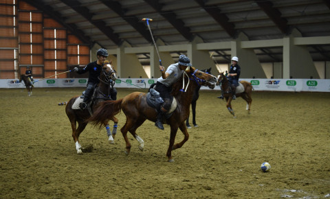 Peşəkar Çövkən Liqasının qalibi müəyyənləşdi