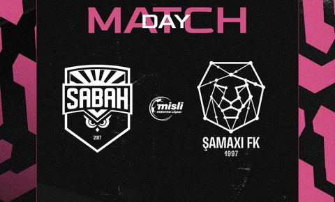 "Bayquşlar" "şirlər"ə qarşı