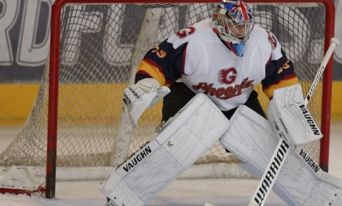 Petr Çex hokkeyçi karyerasını bərpa edib